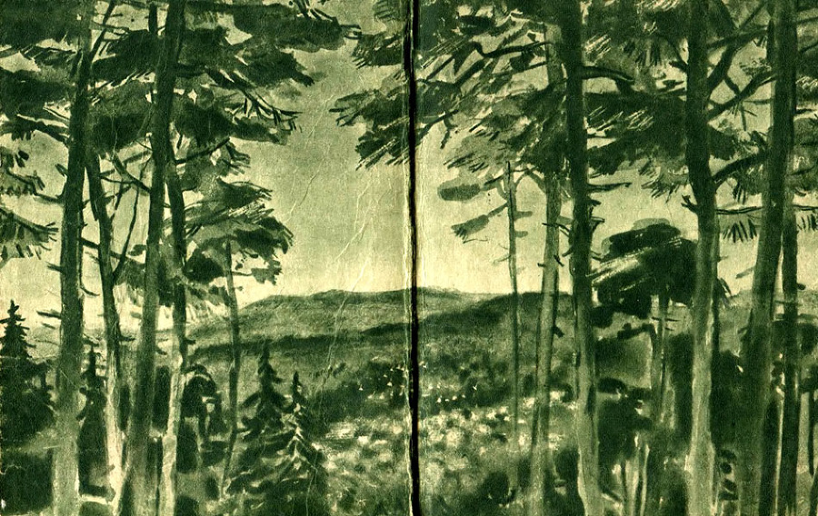 Зелен камень - i_010.jpg