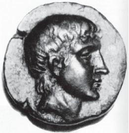 Римские войны. Под знаком Марса - i_052.jpg