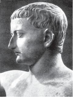 Римские войны. Под знаком Марса - i_095.jpg