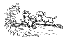 Избранное. Повести и рассказы - i_023.png