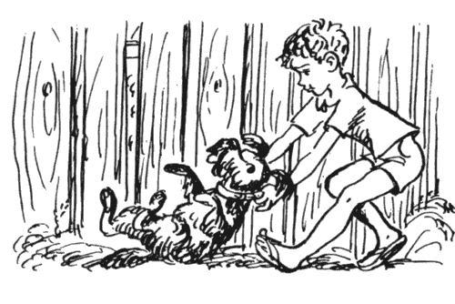 Избранное. Повести и рассказы - i_080.png