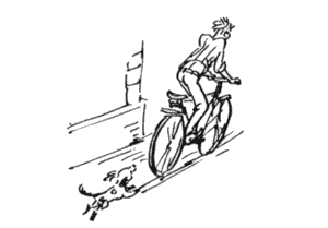 Избранное. Повести и рассказы - i_102.png