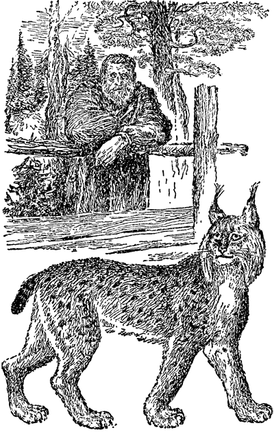 Найденыш - i_002.png