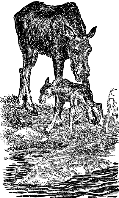 Найденыш - i_010.png