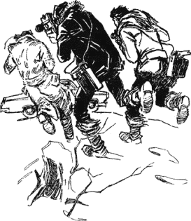 Сто одиннадцатый - any2fbimgloader33.png