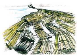 Тайга - _23.jpg