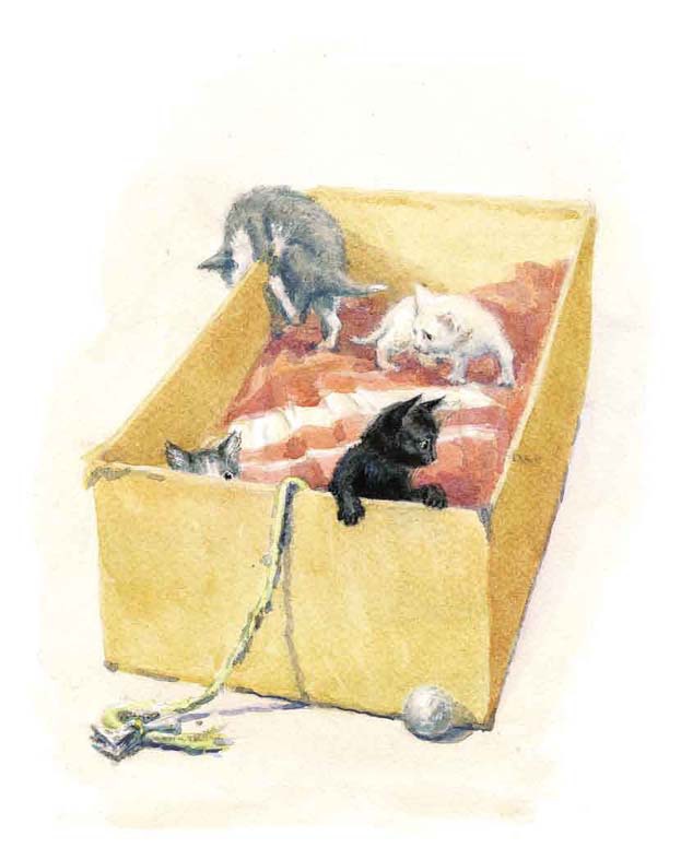 Черныш - i_006.jpg