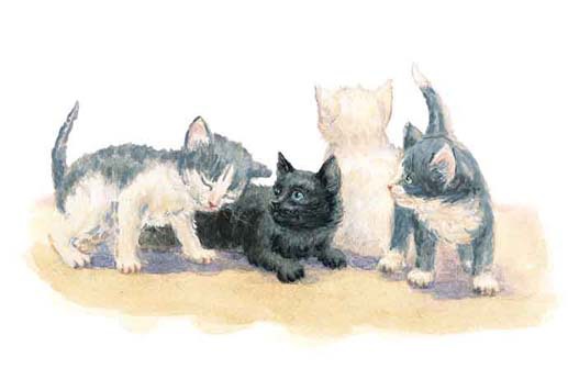 Черныш - i_008.jpg