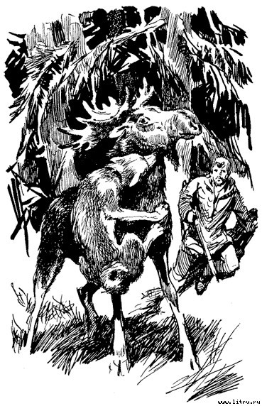 Пират - _13.jpg