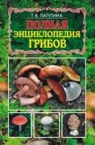 Полная энциклопедия грибов - Лагутина Татьяна Владимировна
