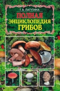 Полная энциклопедия грибов - Лагутина Татьяна Владимировна