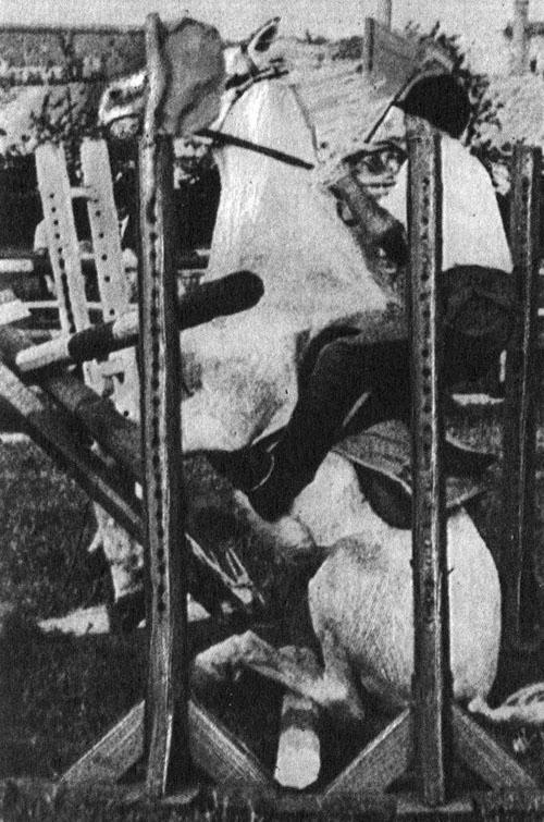 Кони в океане - i_026.jpg