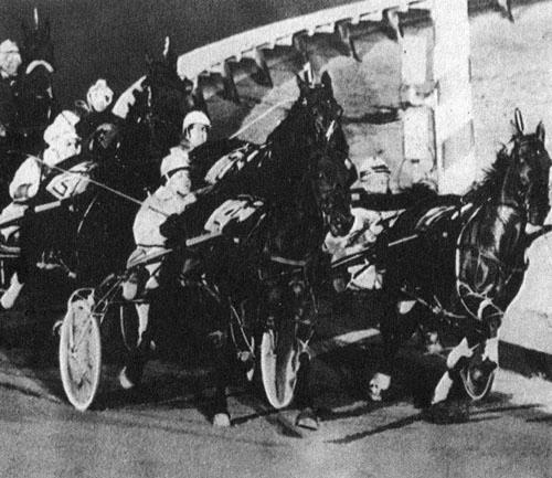 Кони в океане - i_032.jpg