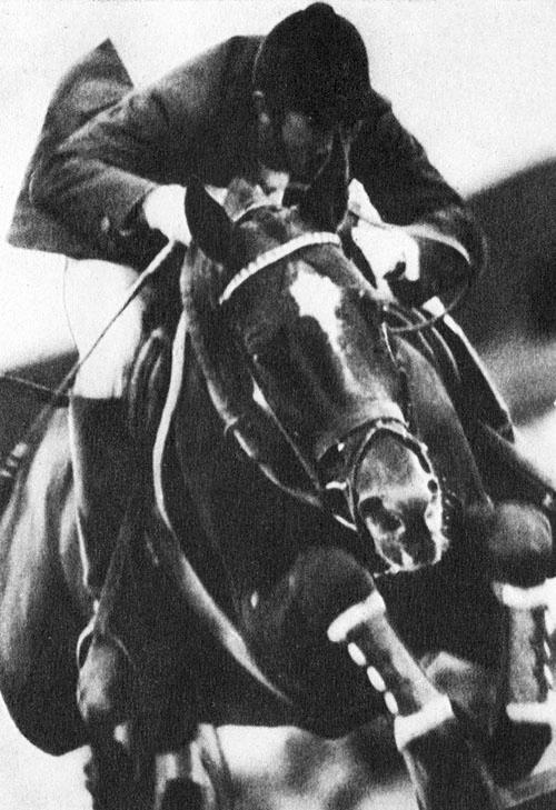 Кони в океане - i_038.jpg