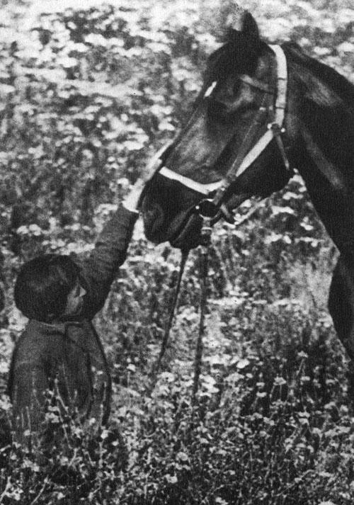 Кони в океане - i_042.jpg