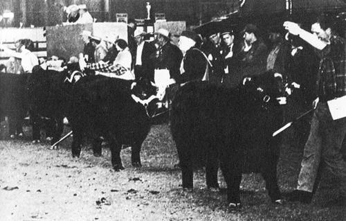 Кони в океане - i_047.jpg