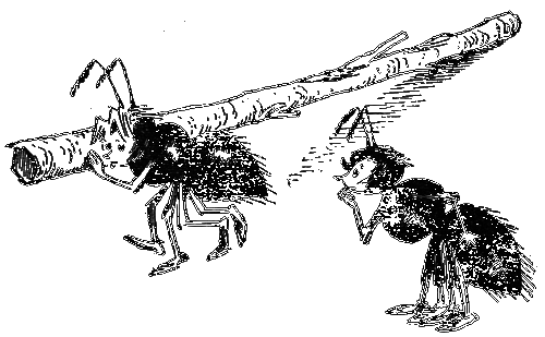 Баранкин, будь человеком! - g23.png