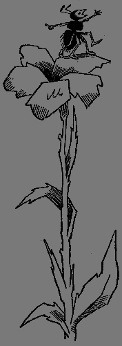 Баранкин, будь человеком! - g25.png