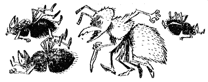 Баранкин, будь человеком! - g26.png