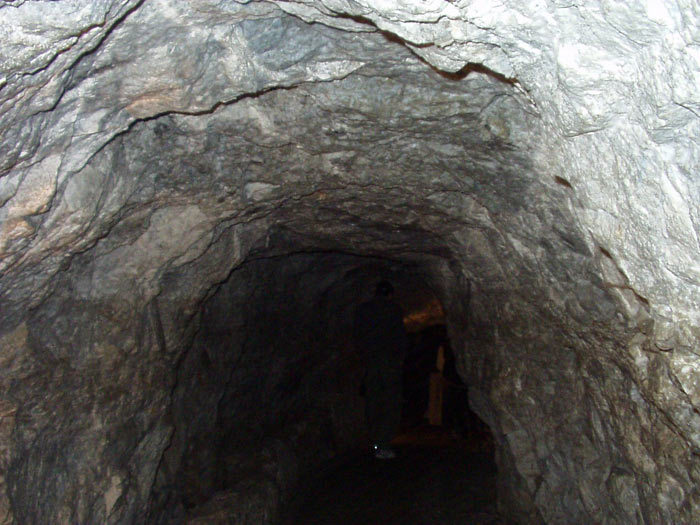 Приключения моряка Паганеля часть I - "Боцман и Паганель или Тайна полярного острова." (СИ) - pic_19.jpg