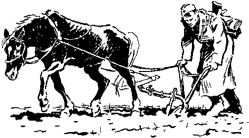 Сердце солдата - img_16.png