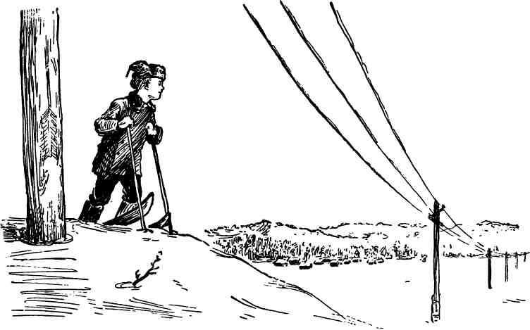 Завидная биография - img_5.jpeg