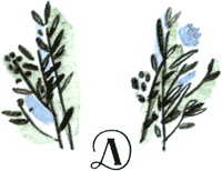 Длинные уши в траве. История косули Рыжки - nonjpegpng__4.png