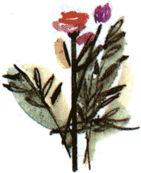 Длинные уши в траве. История косули Рыжки - nonjpegpng__7.png