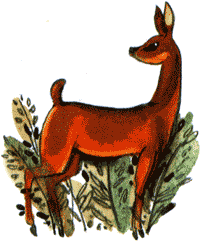 Длинные уши в траве. История косули Рыжки - nonjpegpng__8.png