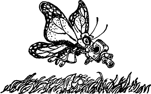 Чудо-компасы - i_025.png