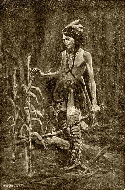 Краснокожие - i_004.jpg