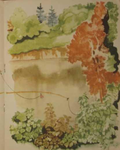 Щучий завтрак - img_11.jpeg