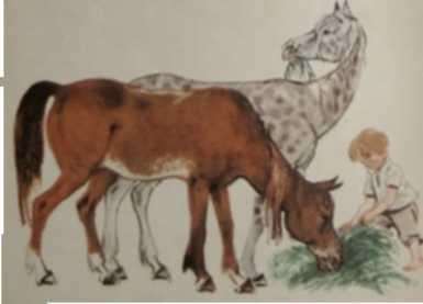 Щучий завтрак - img_13.jpeg