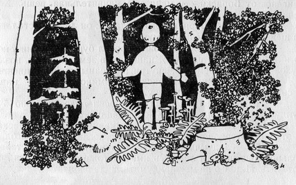 Первая Вечерняя Звезда - pic_5.jpg