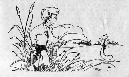 Первая Вечерняя Звезда - pic_9.jpg