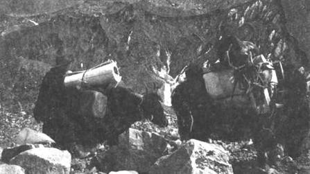 Хрустальный горизонт - image122.jpg