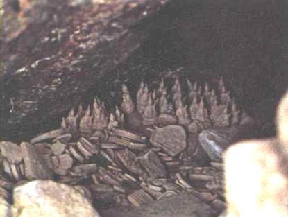 Хрустальный горизонт - image220.jpg