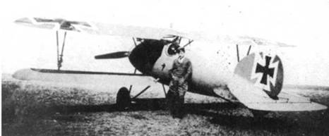 Боевое применение Германских истребителей Albatros в Первой Мировой войне - pic_94.jpg