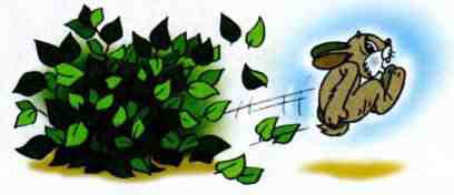 Попался волчок на крючок [рисунки автора] - i_020.jpg