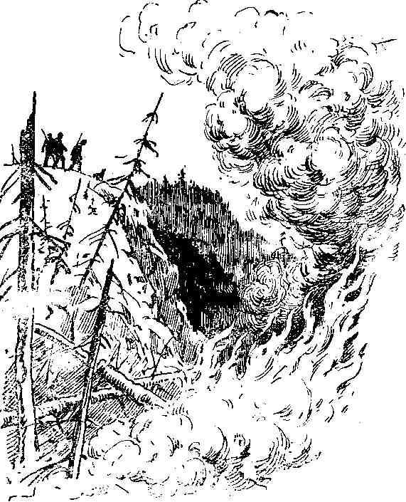 За сокровищами реки Тунгуски - img_12.jpeg