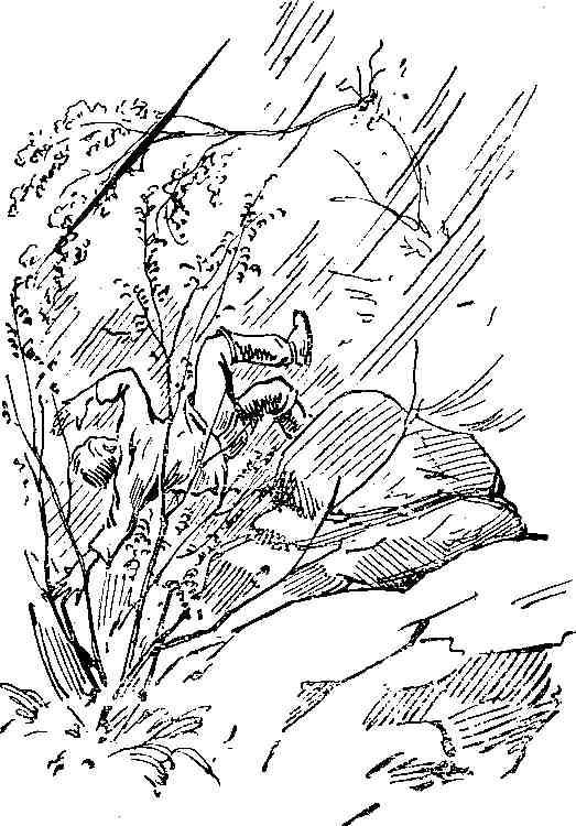 За сокровищами реки Тунгуски - img_6.jpeg