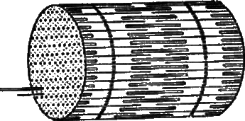 Активное долголетие (Моя система борьбы со старостью) - _30.png