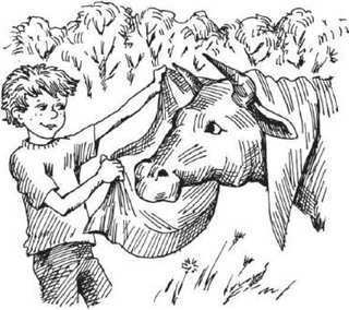 Пригода в кукурудзі (збірник) - i_002.jpg