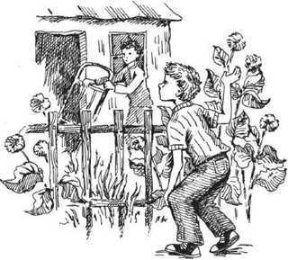 Пригода в кукурудзі (збірник) - i_014.jpg