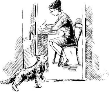 Супер "Б" з "фрикадельками" (збірник) - pic_2.jpg