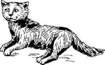 Супер "Б" з "фрикадельками" (збірник) - pic_3.jpg