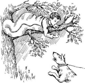 Супер "Б" з "фрикадельками" (збірник) - pic_52.jpg