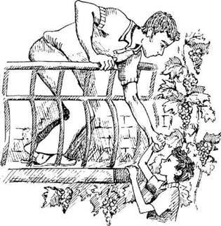 Супер "Б" з "фрикадельками" (збірник) - pic_6.jpg