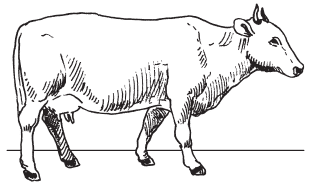 Полная энциклопедия фермера - i_011.png