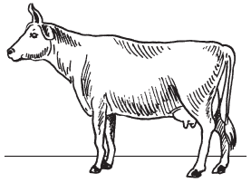 Полная энциклопедия фермера - i_012.png